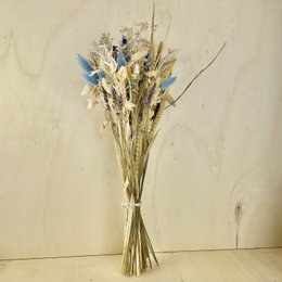 Bukiety BLOOMY Suszone kwiaty Beżowy