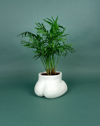 CACHE POT - GROßE BUMPER