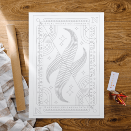 NEPHROLEPIS EXALTATA Coloriage Affiche 50x70 cm