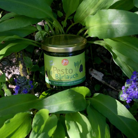 Pesto ORGANIC wild garlic with cedar nuts 140g