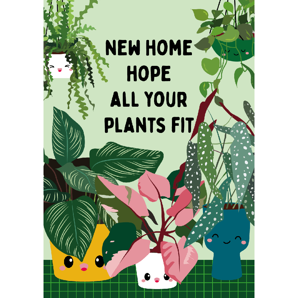 Piante nuova casa