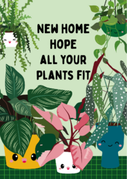 Piante nuova casa