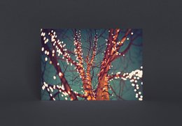 Carte postale arbre de lumières (PK_028)