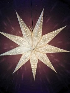 Paper star silver flower 9 Zack 60cm