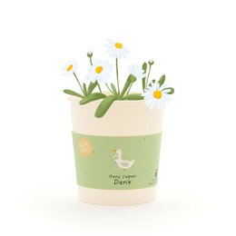 Green and white ceramic cup with a lid, containing a brown seed or pellet.