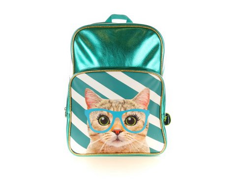 Backpack Cat with blue-green glasses