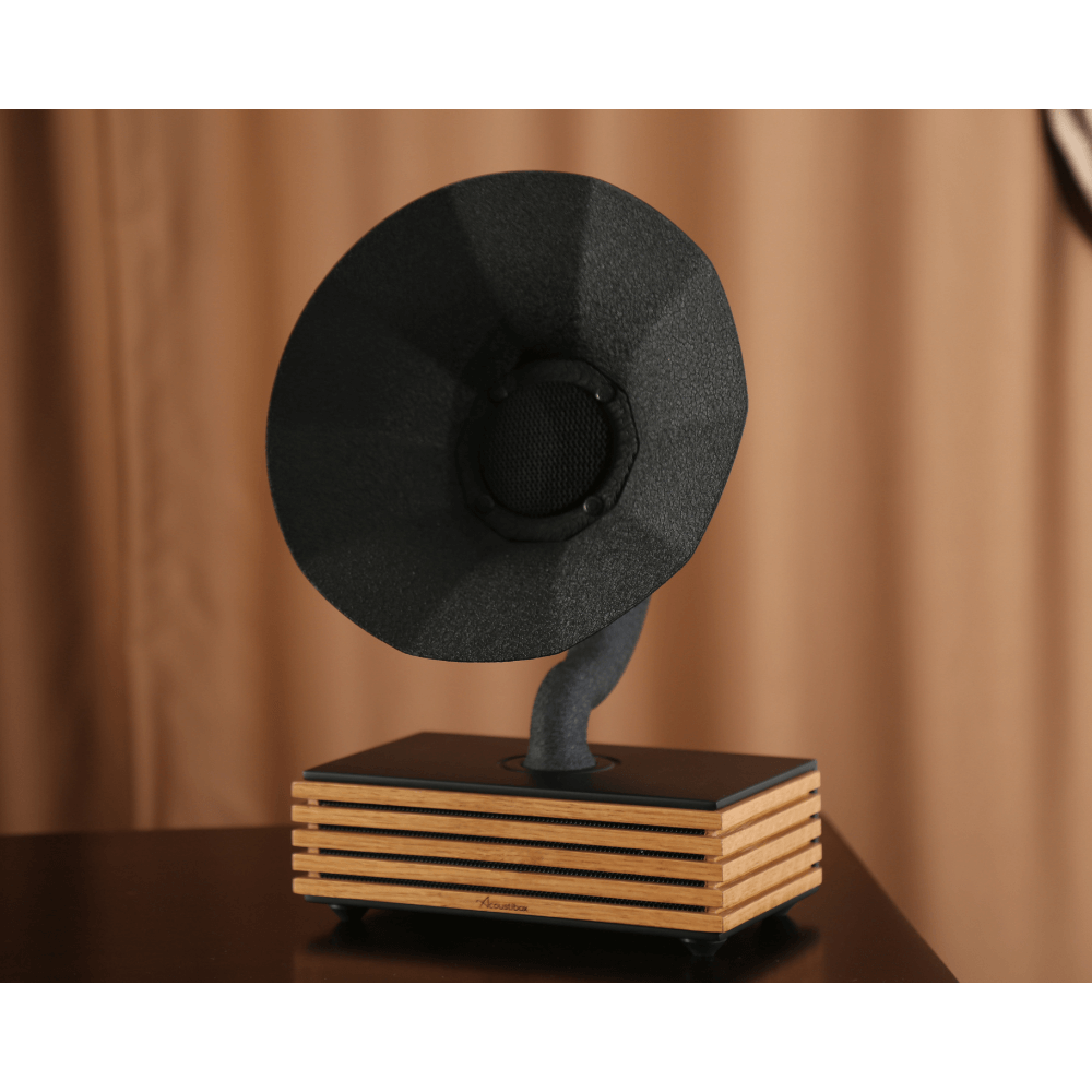 Bluetooth-luidspreker Acoustibox