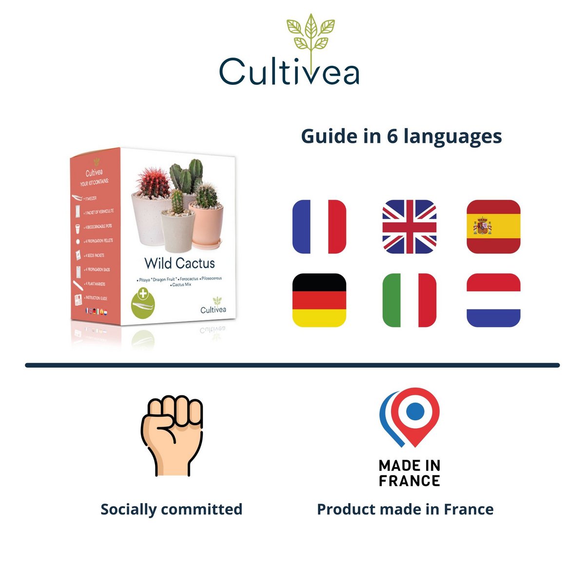 CULTIVEA® Mini Ready to Grow Cactus Kit - Have og dekoration - Gaveidé (Pitaya "Dragon Fruit", Ferocactus, Pilosocereus og Cactus Mix) - Made In France - DIY