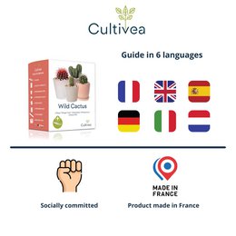CULTIVEA® Mini Ready to Grow Cactus Kit - Have og dekoration - Gaveidé (Pitaya "Dragon Fruit", Ferocactus, Pilosocereus og Cactus Mix) - Made In France - DIY