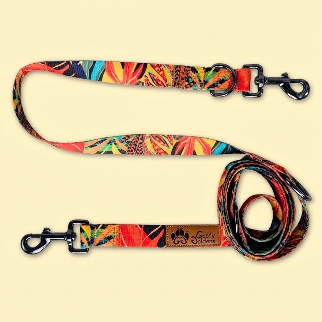 Tropical multi-position leash