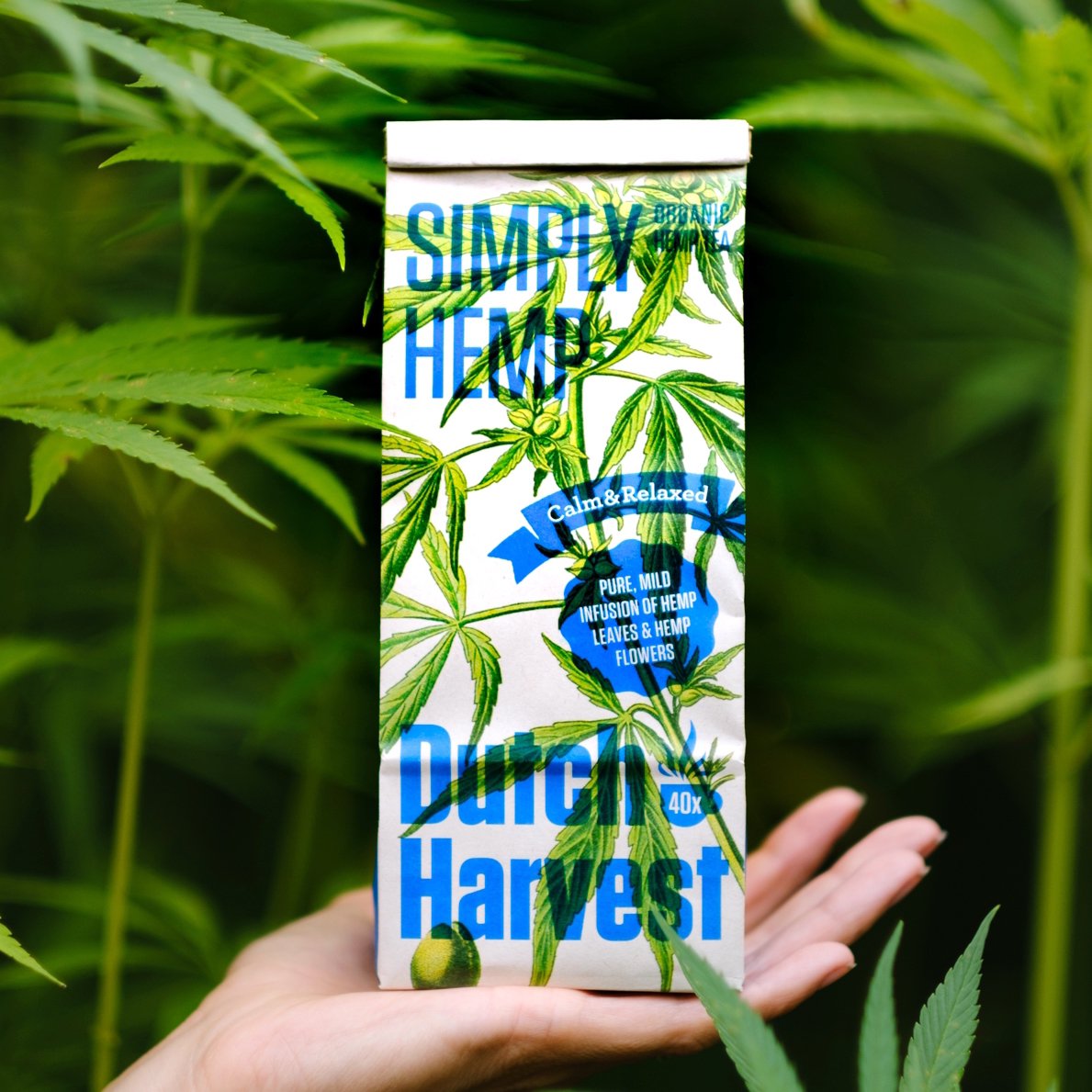 Simply Hemp BIO, tè alla canapa pura