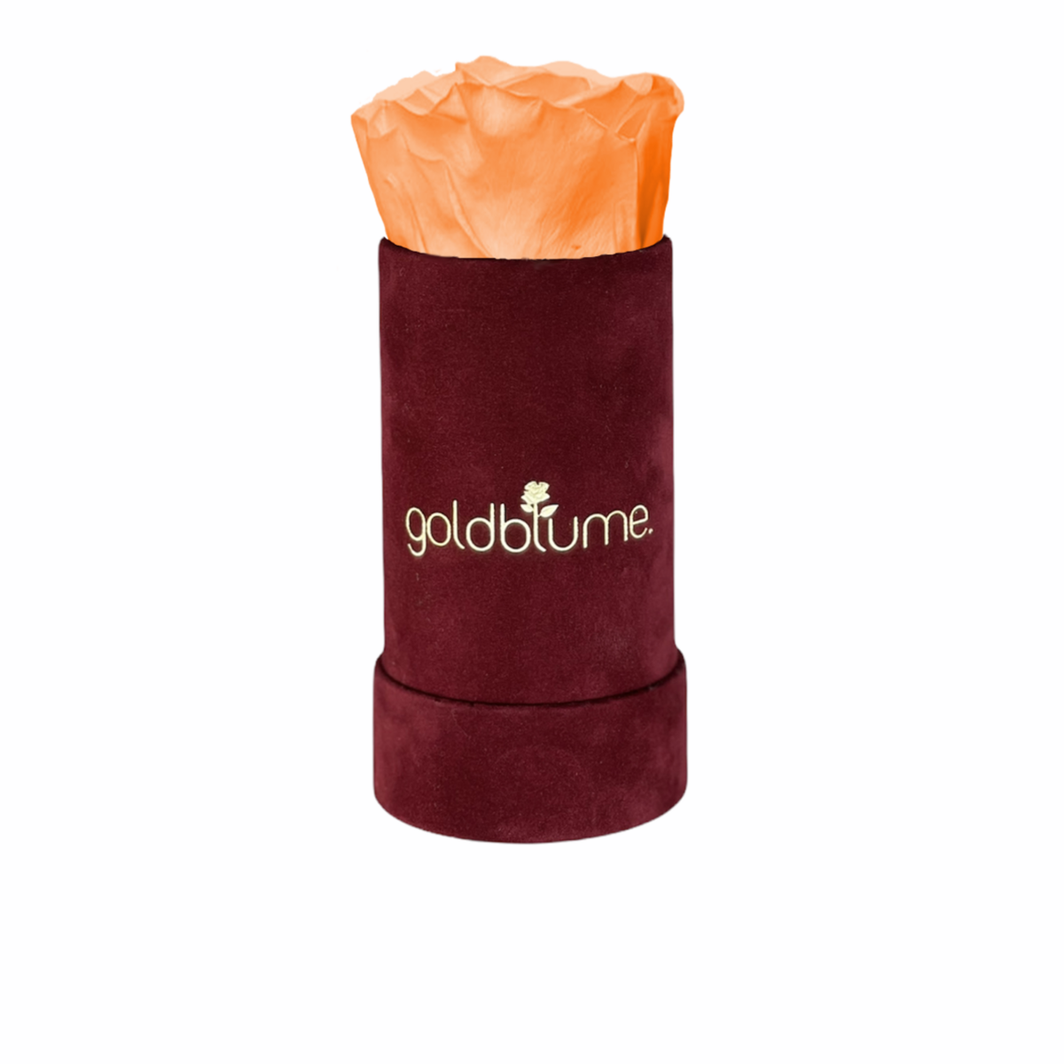Collection Velours Bordeaux