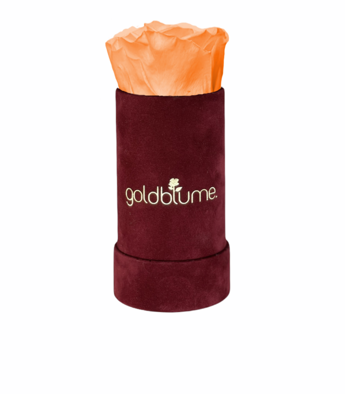 Velvet Bordeaux Collection