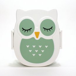 Snack box - Lunchbox Owl airtight & BPA free - Mint