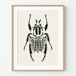 21x30 cm (A4)