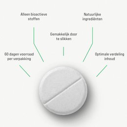 Vitamin 100 Premium