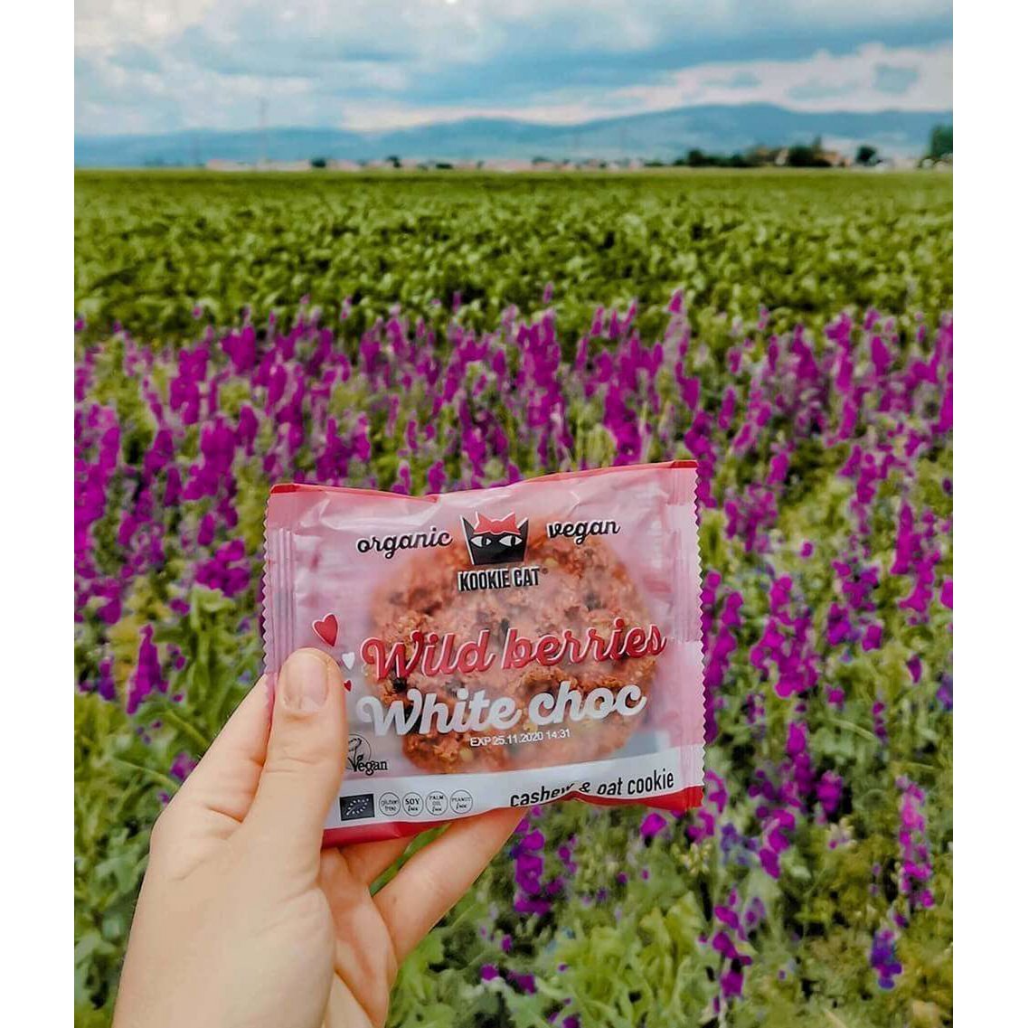 Wild Berries Cookie, organic, Kookie Cat, 50g