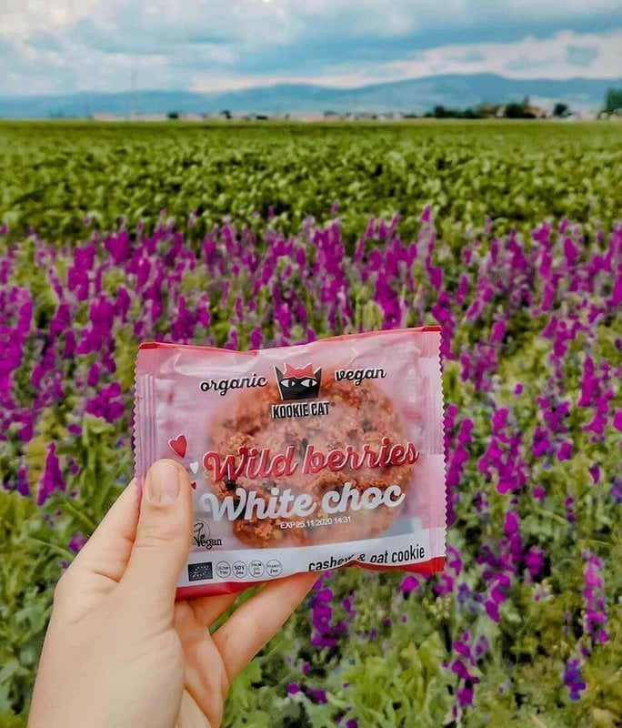 Wild Berries Cookie, organic, Kookie Cat, 50g