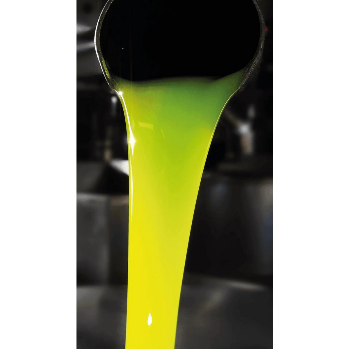 Casa del Agua by Oro Bailén – Extra Vierge Olijfolie – 5L Blik