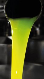 Casa del Agua - 5 Liter Can Extra Virgin Olive Oil
