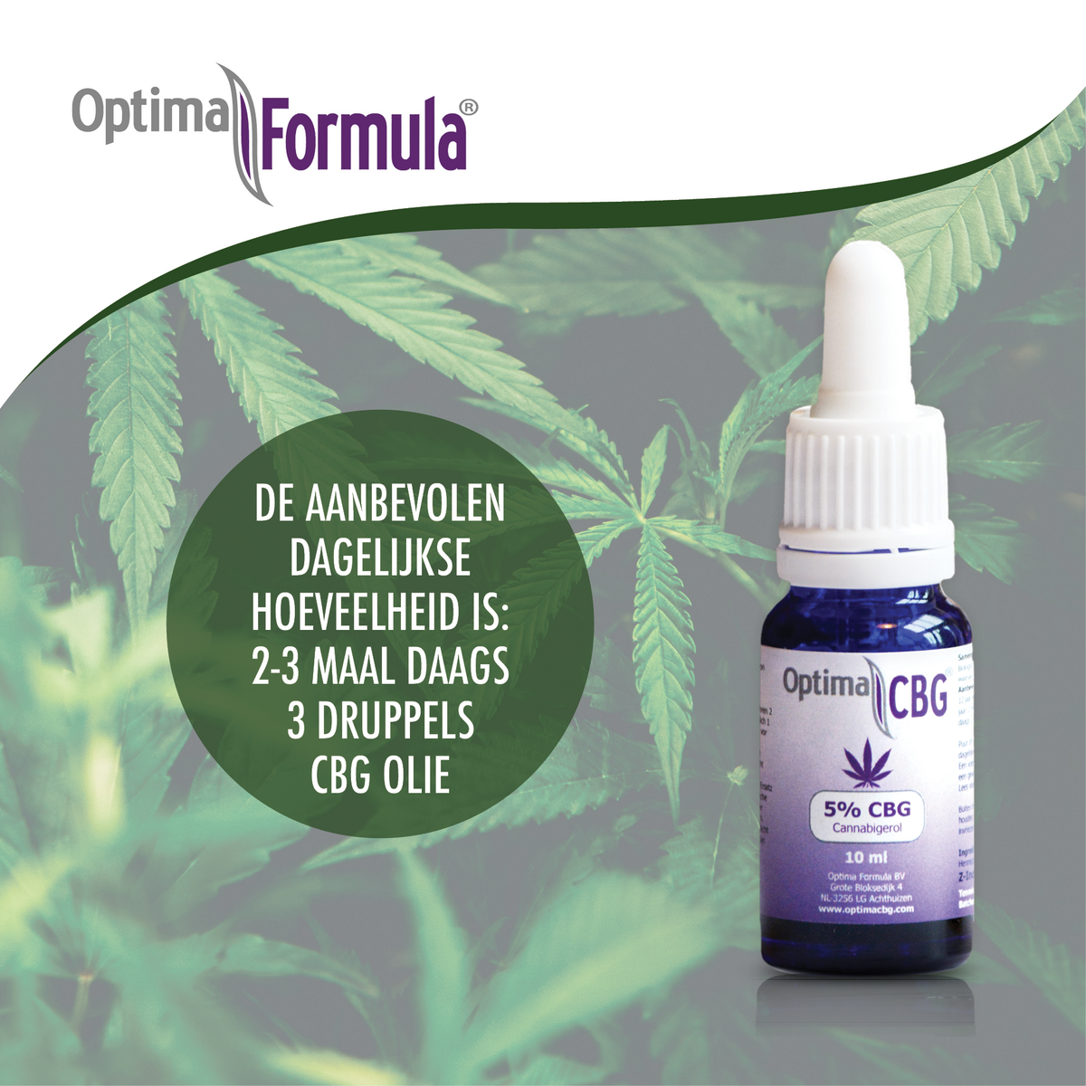 CBG Olie 5%