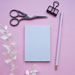 Notepad | squirrel