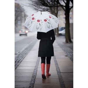 REGENSCHIRM - MOHN