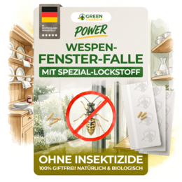 Wespen Fenster-Falle