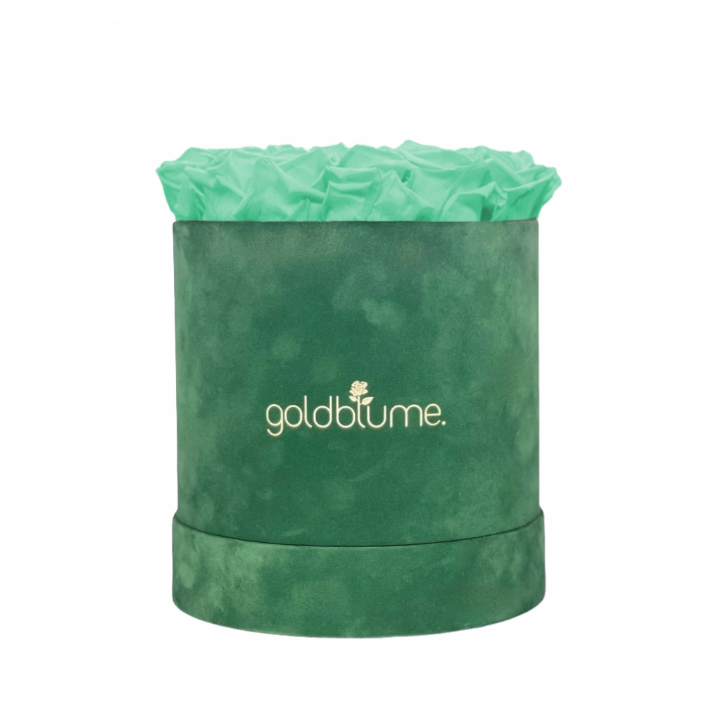 Velvet Green Collection