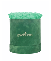 Velvet Green Collection