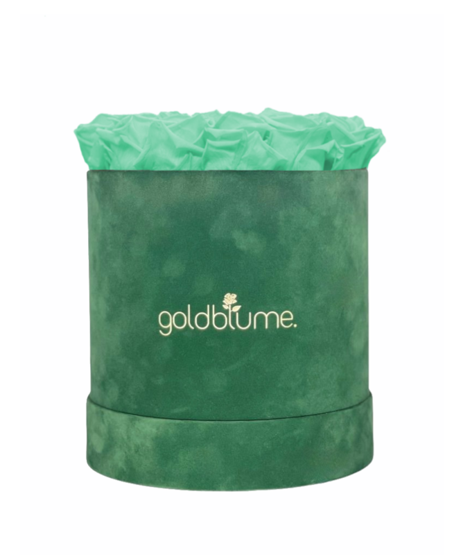 Velvet Green Collection
