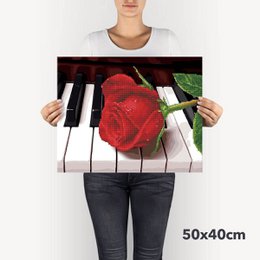 Kit hybride Piano Rose