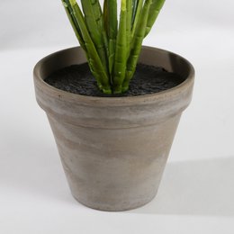 Kunstplant Evergreen Groen