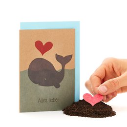 Grußkarte - Alles Liebe - Wal
