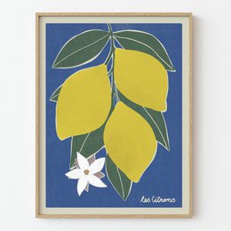"Les citrons" Art Print