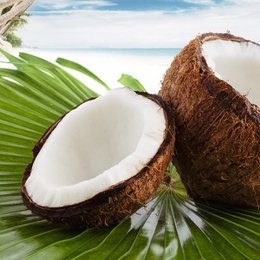 Tropical Island Coconut Soap