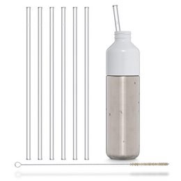 6x 30cm (Gerade) Glasstrohhalme für Flaschen von 0,33 bis 0,6 Liter