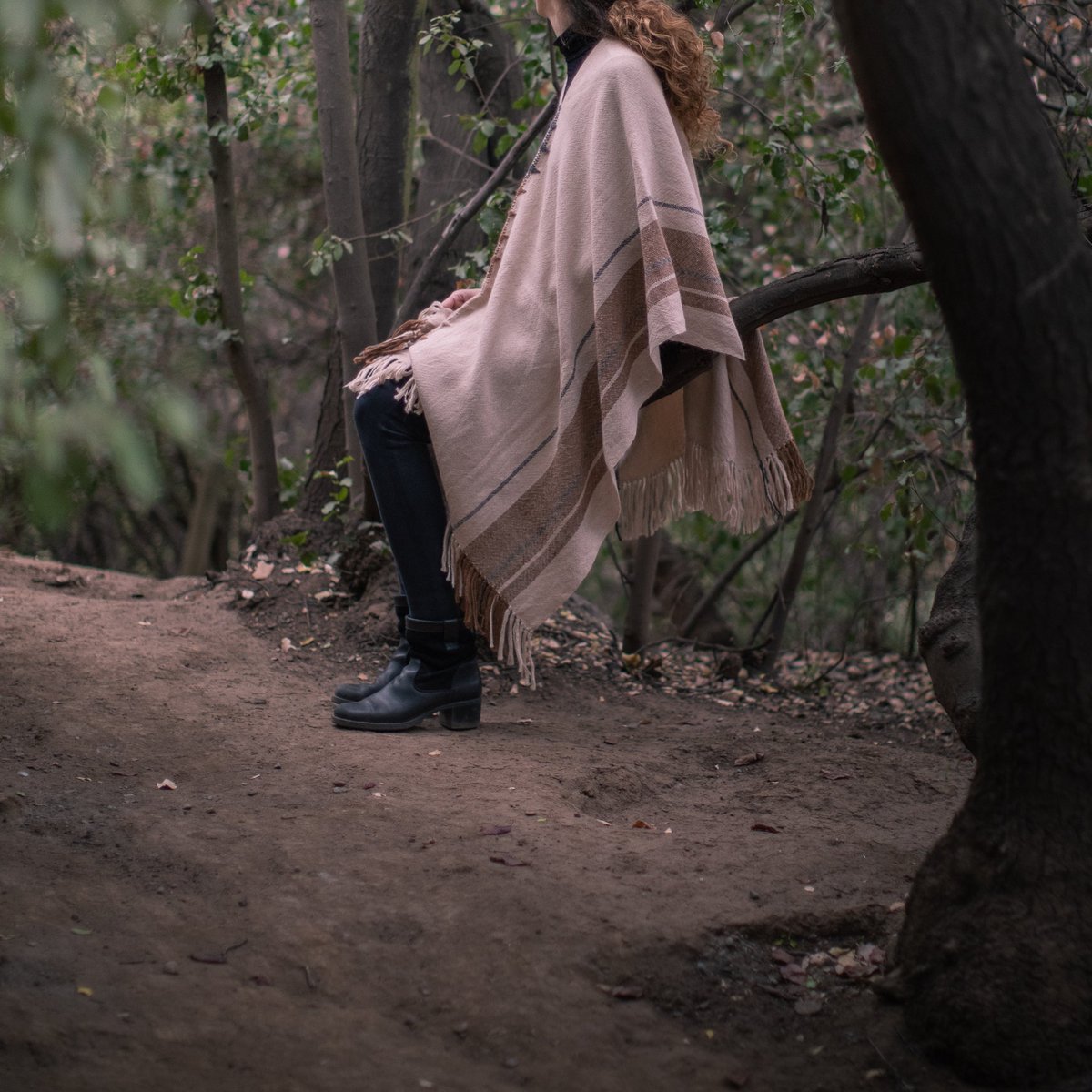 Poncho Linzor