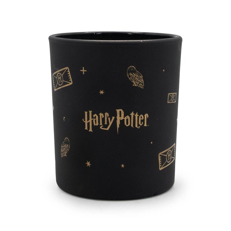 Duftkerze Harry Potter™ Magical Owl Black - 135g