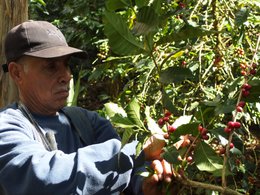 Espresso for Future (biologico), 1kg, chicchi interi