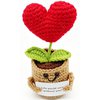 Q-K2.2  DC2550-035 Knitted Positive Heart 14.5cm