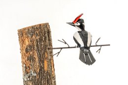 Pic épeiche en métal à coller sur arbre