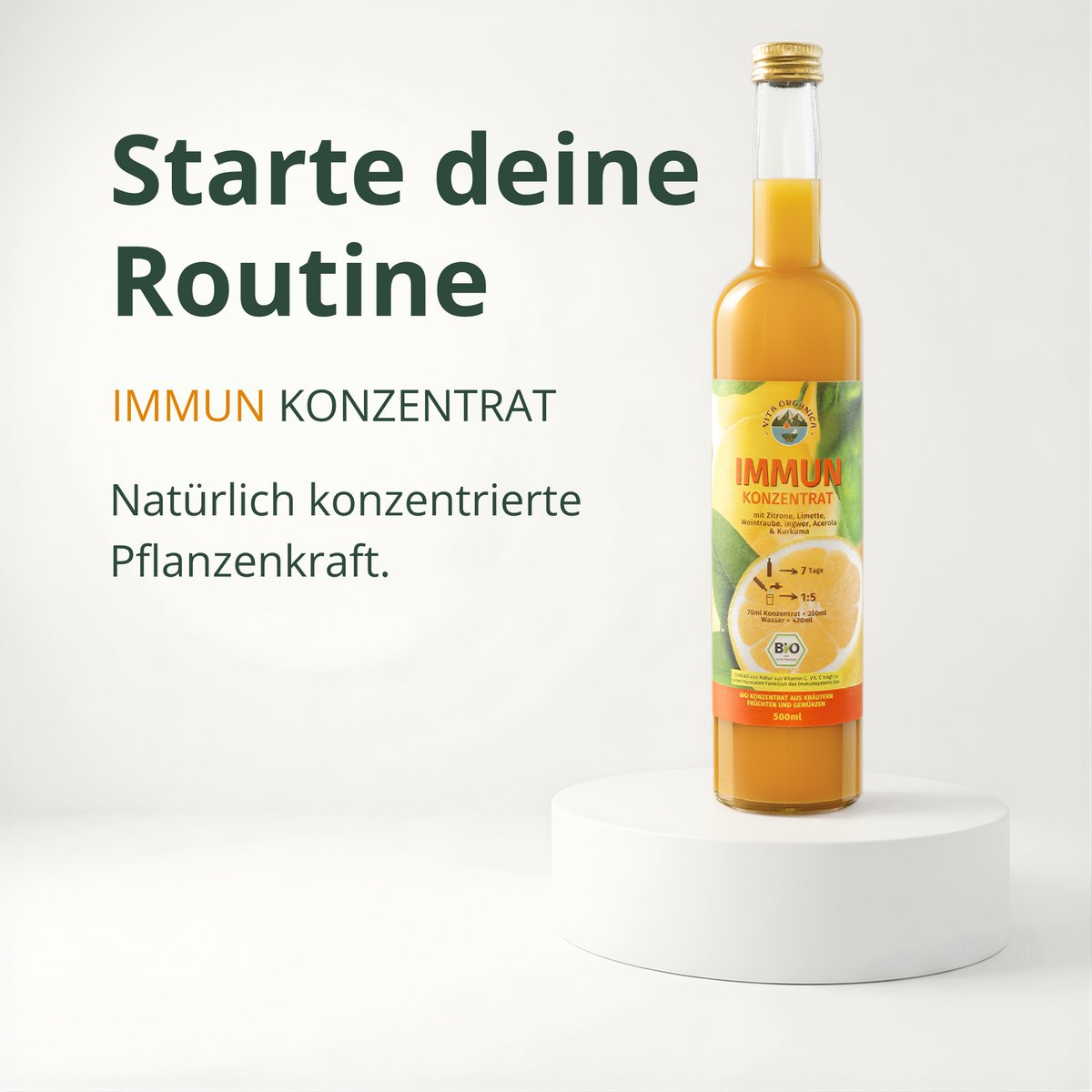 BIO Ingwer Konzentrat 500ml