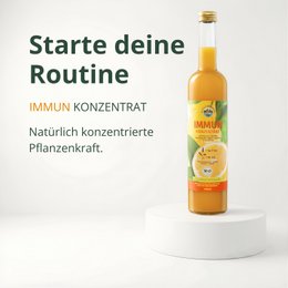Concentré de gingembre organique 500 ml