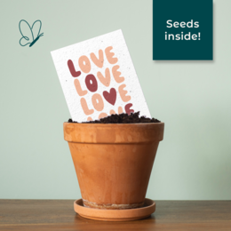Seed paper greeting card - Love love love