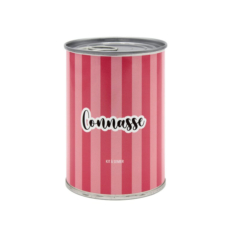 Kit to sow "Connasse" manufactured in France Copy