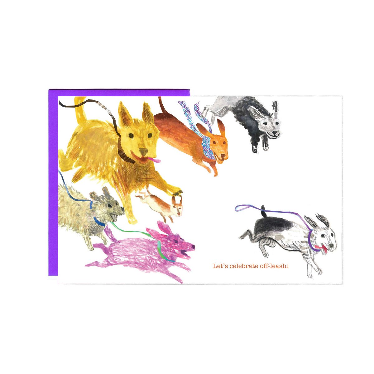 Best In Show - Set of 8 Cards