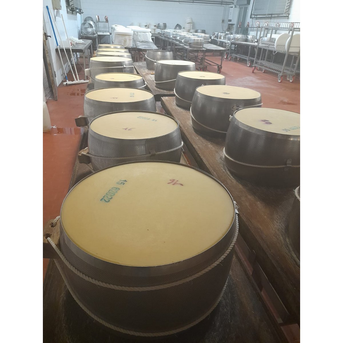 Parmigiano Reggiano DOP - 24 meses de crianza precio/ud