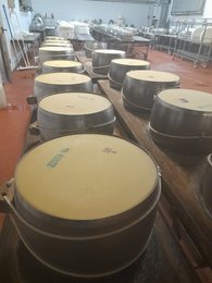 Parmigiano Reggiano DOP - 24 meses de crianza precio/ud