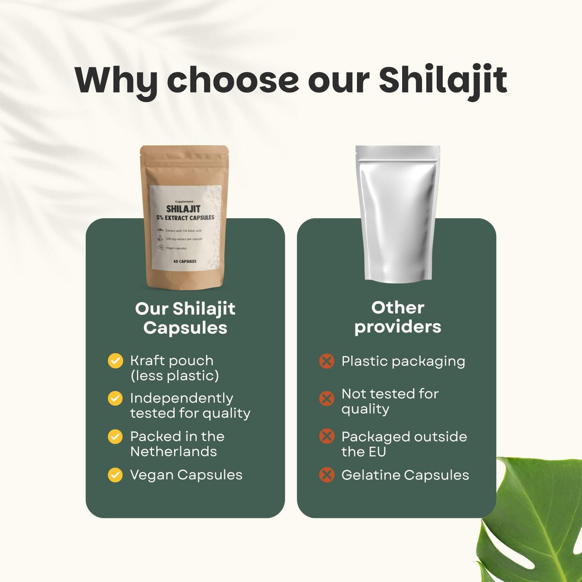 Estratto di Shilajit (5%) Capsule 500 mg - 60 Capsule